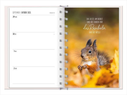 Terminplaner 2024 Lichtblicke