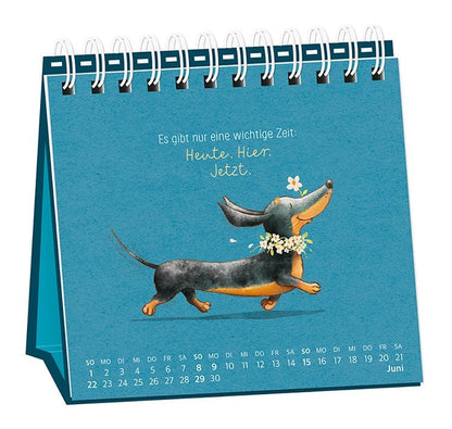 Tischkalender 2024 Die Welt ist schön