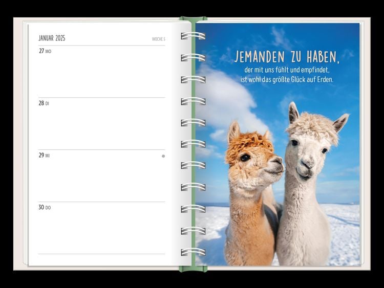 Terminplaner 2024 Happymacher