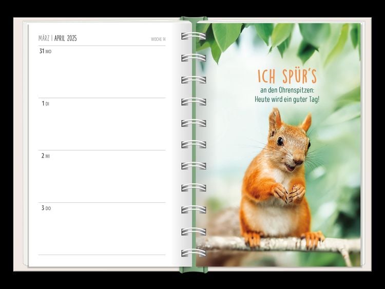 Terminplaner 2024 Happymacher