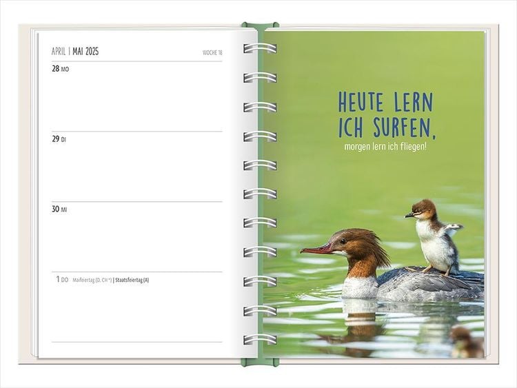 Terminplaner 2024 Happymacher