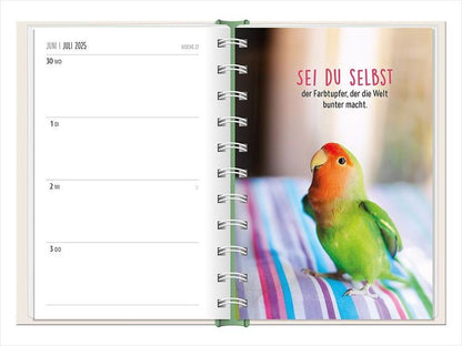 Terminplaner 2024 Happymacher