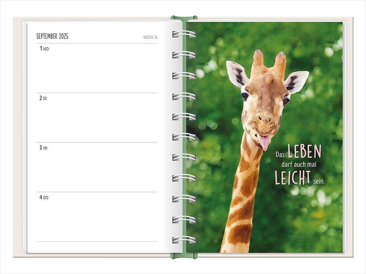 Terminplaner 2024 Happymacher