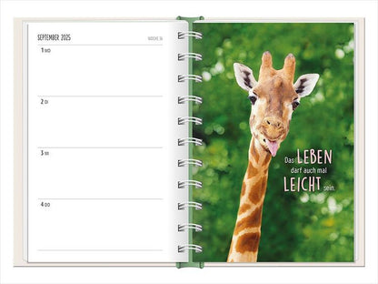 Terminplaner 2024 Happymacher