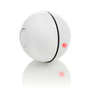 Interaktives Katzenspielzeug