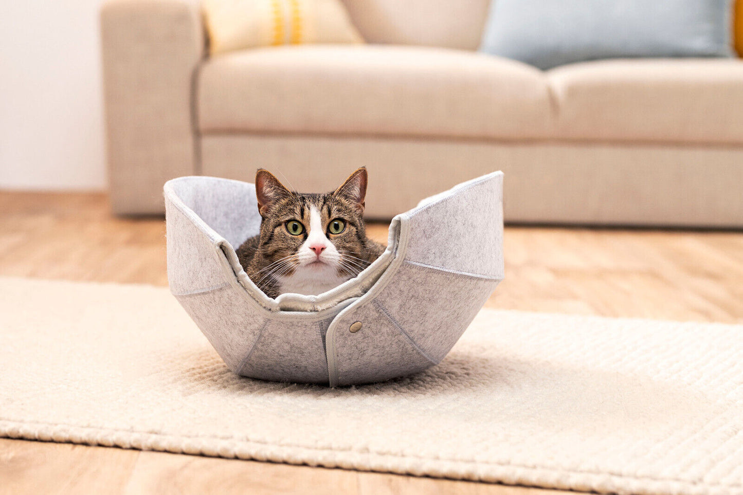 Katzenhöhle zum Schlafen & Spielen - faltbar