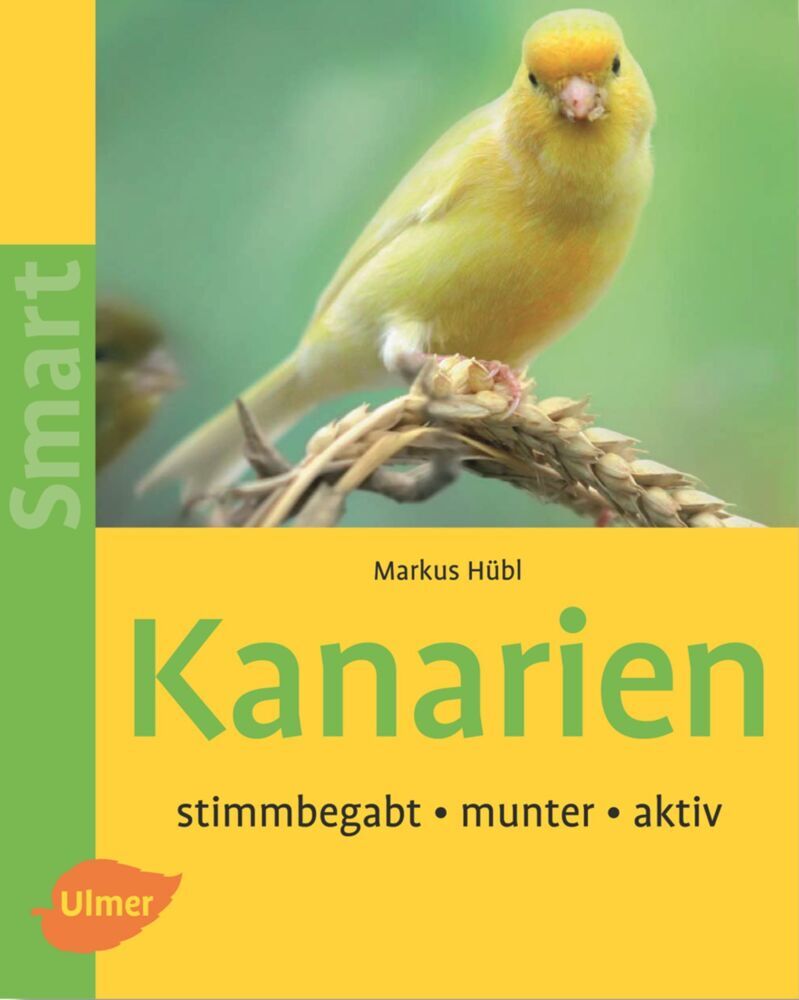Kanarien (Markus Hübl)