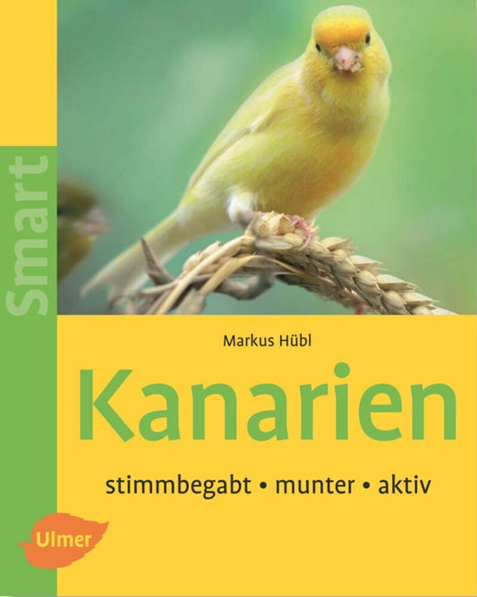 Kanarien (Markus Hübl)