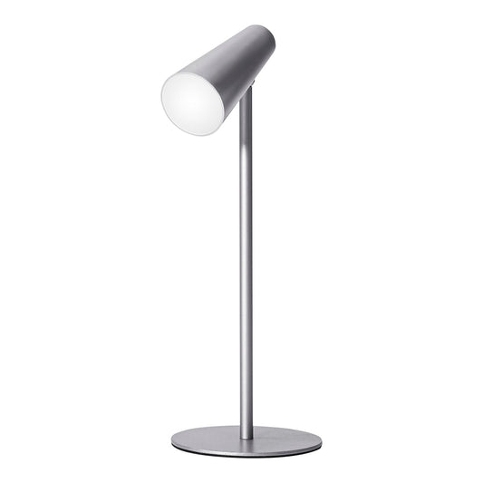 5in1 Tageslicht-Multifunktionslampe (Farbe: silber)