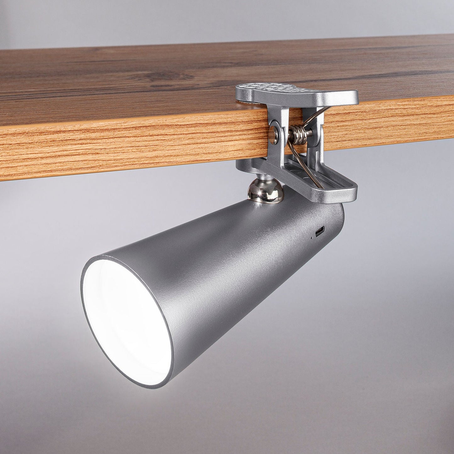 5in1 Tageslicht-Multifunktionslampe (Farbe: silber)