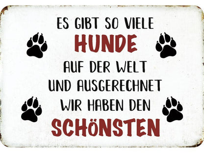 Blechschild "Es gibt so viele Hunde"
