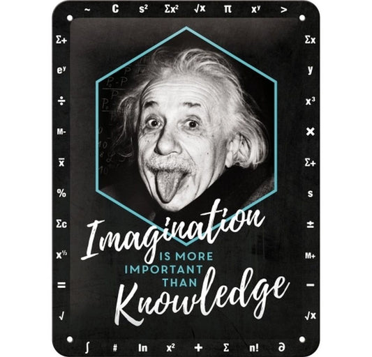 Blechschild 15x20. Einstein - Imaginatio