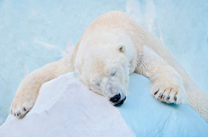 Hemp Magic Kopfkissen