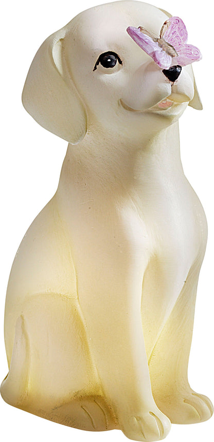 Geschenkset LED-Hund "Pauli"