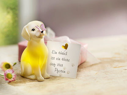 Geschenkset LED-Hund "Pauli"