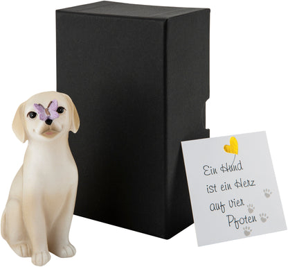 Geschenkset LED-Hund "Pauli"