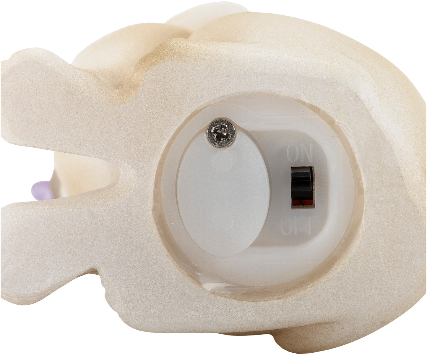 Geschenkset LED-Hund "Pauli"