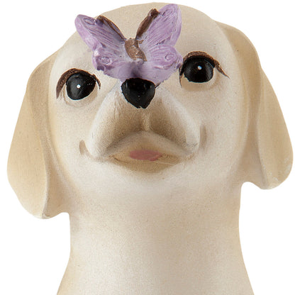 Geschenkset LED-Hund "Pauli"