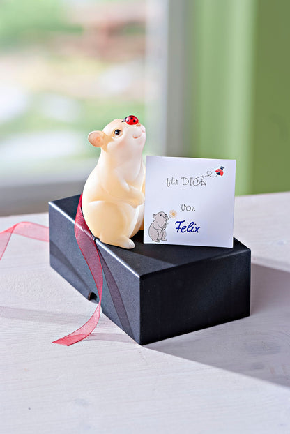 Geschenkset LED-Dekofigur "Krümel"