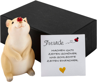 Geschenkset LED-Dekofigur "Krümel"