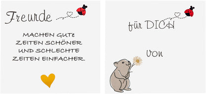 Geschenkset LED-Dekofigur "Krümel"