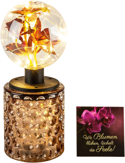 LED-Dekoleuchte "Flor" mit Geschenkbox, 23 cm