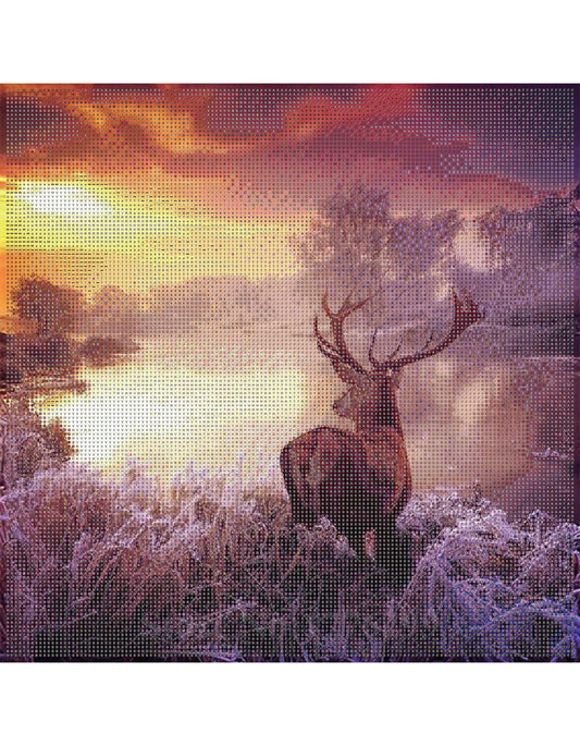 Diamond Painting "Hirsch im Sonnenuntergang" 40 x 40 cm