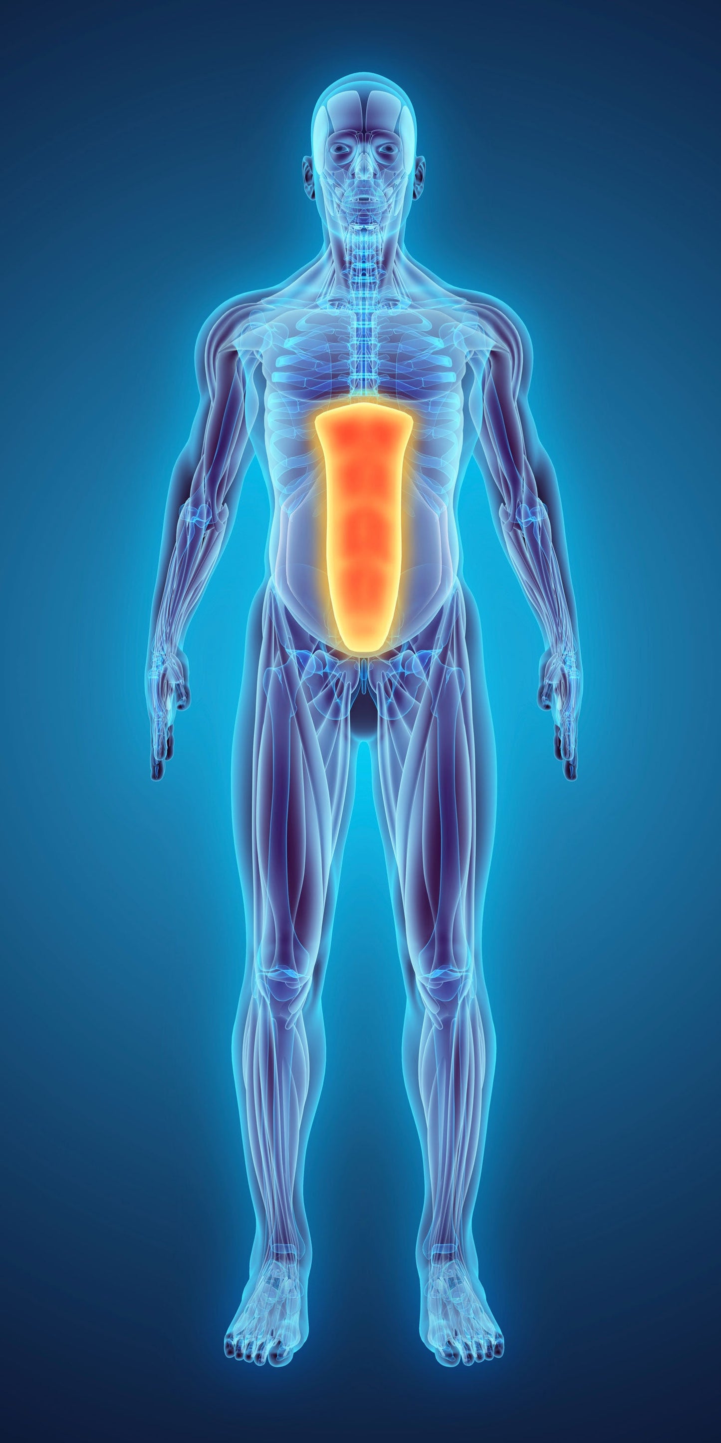 EMS Bauchmuskel-Gürtel