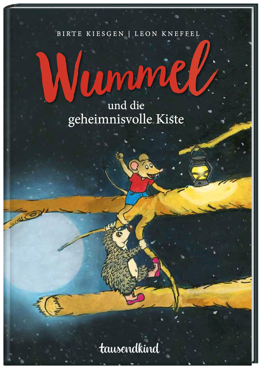 Wummel und die geheimnisvolle Kiste / Wummel Bd. 1