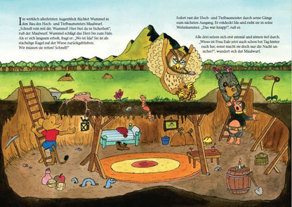 Wummel und die geheimnisvolle Kiste / Wummel Bd. 1