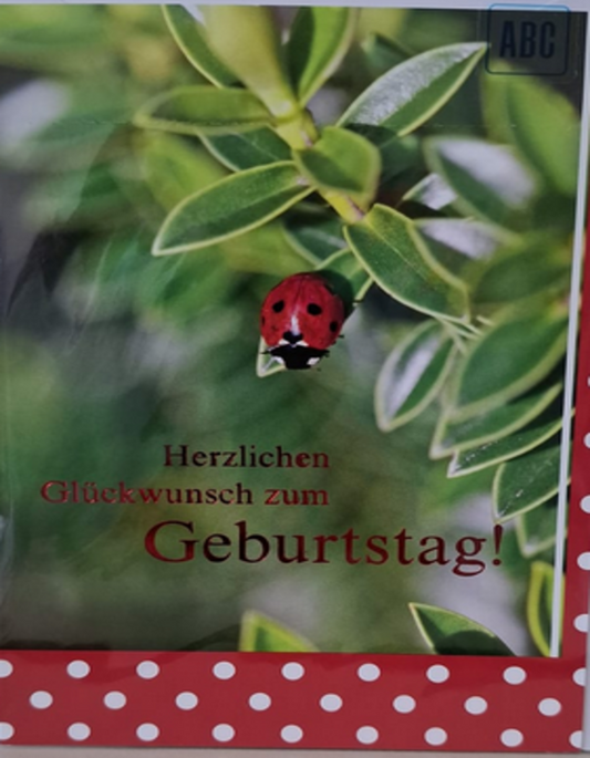 Herzlichen Glückwunsch zum Geburtstag(B6)