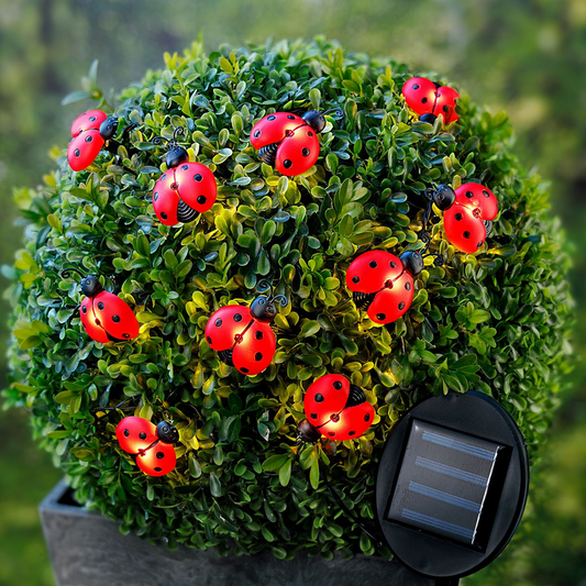 Solar-Lichterkette "Marienkäfer"