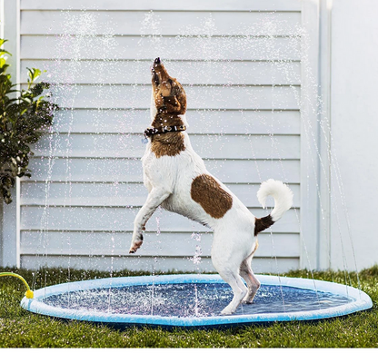 Wasserspielmatte für Hunde