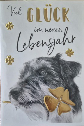 Viel Glück im neuen Lebensjahr (B6)