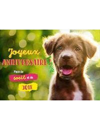 DK Kultura: Joyeux anniversaire 4542-001