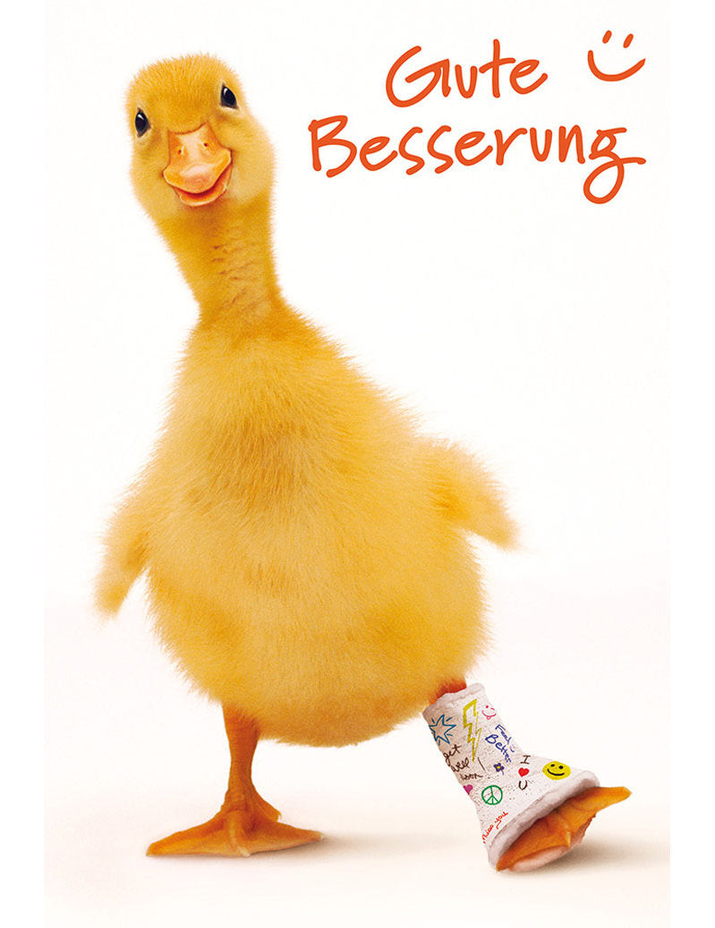 DK Genesung Premium Line