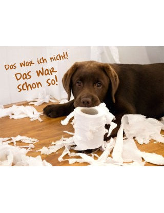 Das war ich nicht! Das war schon so!