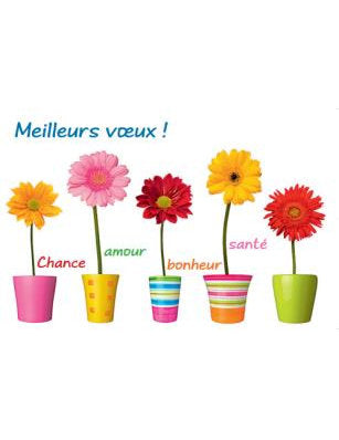 DK Kultura: Meilleurs voeux , fleurs Französisch 4548-000 quer