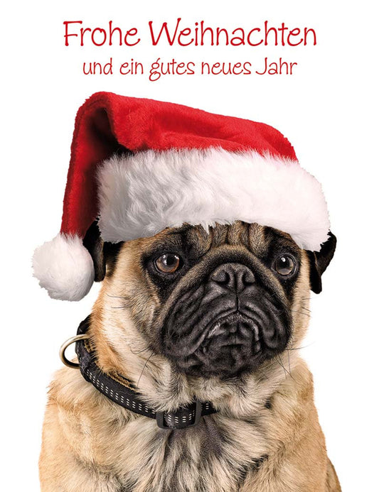 Frohe Weihnachten und ein gutes neues Jahr