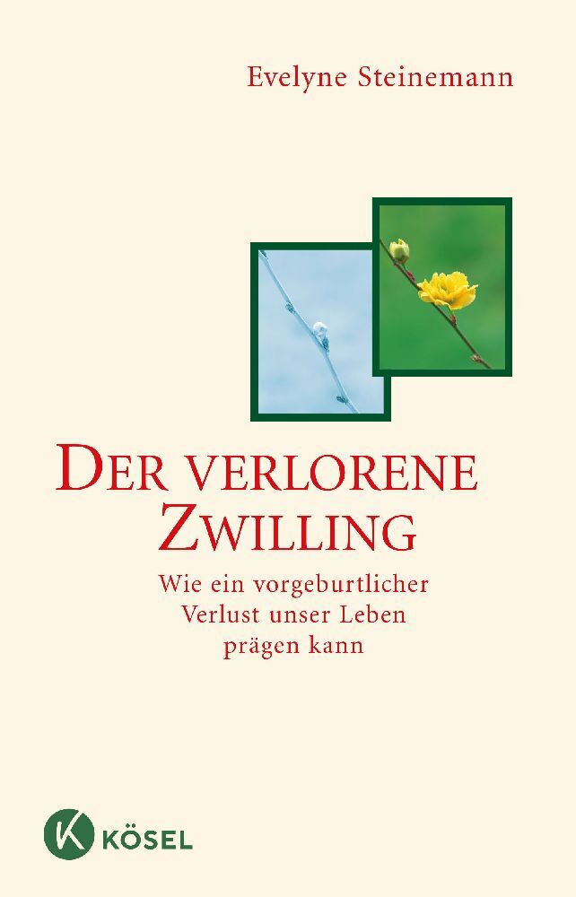 Der verlorene Zwilling (Evelyne Steinemann)