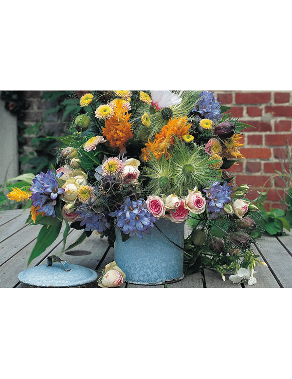 DK Emotion Blumen Im Topf Emotion