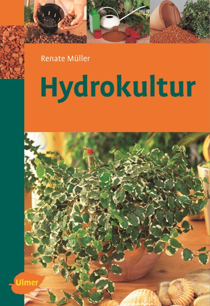 Hydrokultur (Renate Müller)