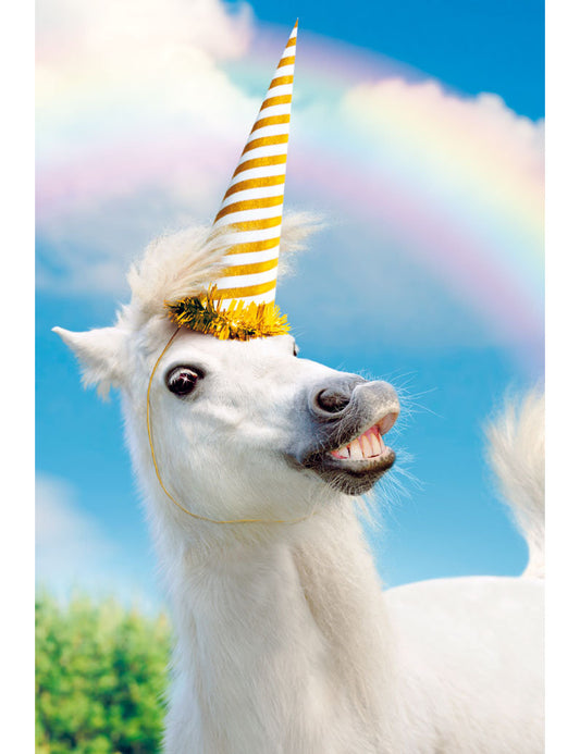 DK Premium Line Avanti