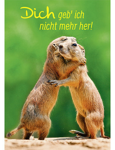 Dich geb ich nicht mehr her