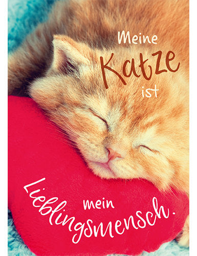Meine Katze ist mein Lieblingsmensch
