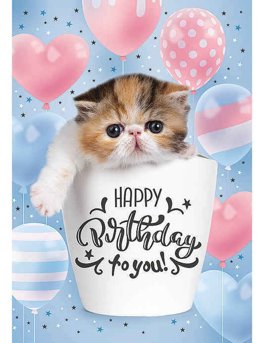 Biglietto Compleanno Dolci Chicche C/glitter