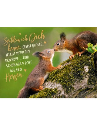 Seitdem ich Dich kenne...