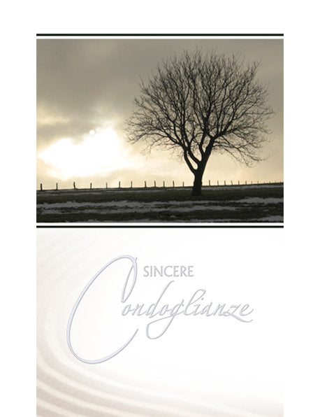 Biglietto Sincere Condoglianze 2-3184
