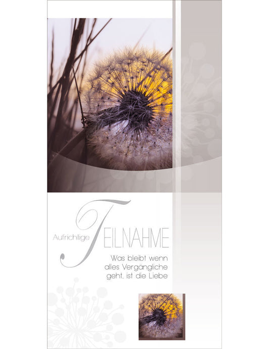 Aufrichtige Teilnahme  A6/5