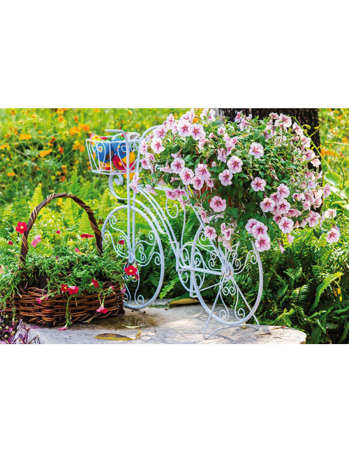 DK Blanco Foto Blumen auf Fahrrad